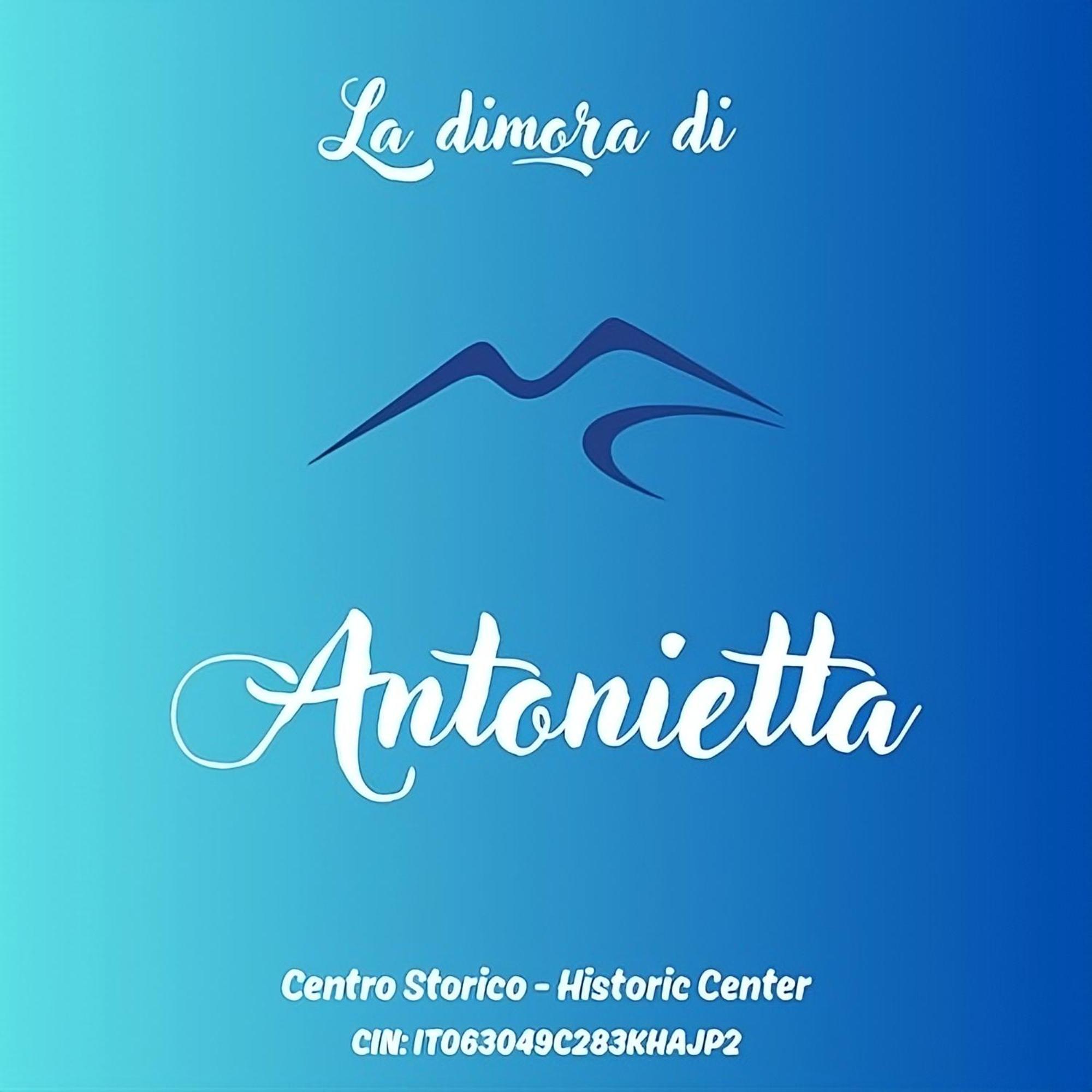 La Dimora Di Antonietta - Centro Storico Apartment Наполи Екстериор снимка